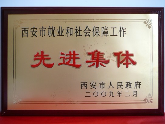 2009年2月，被西安市政府评为西安市就业和社会保障事情先进整体