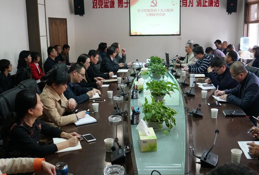 集团召开系统党组织书记学习十九大精神专题培训会